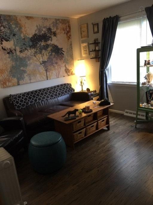 Pet Friendly Williamstown Airbnb Rentals