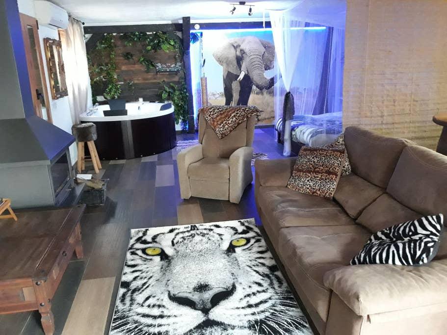 Pet Friendly Peniscola Airbnb Rentals