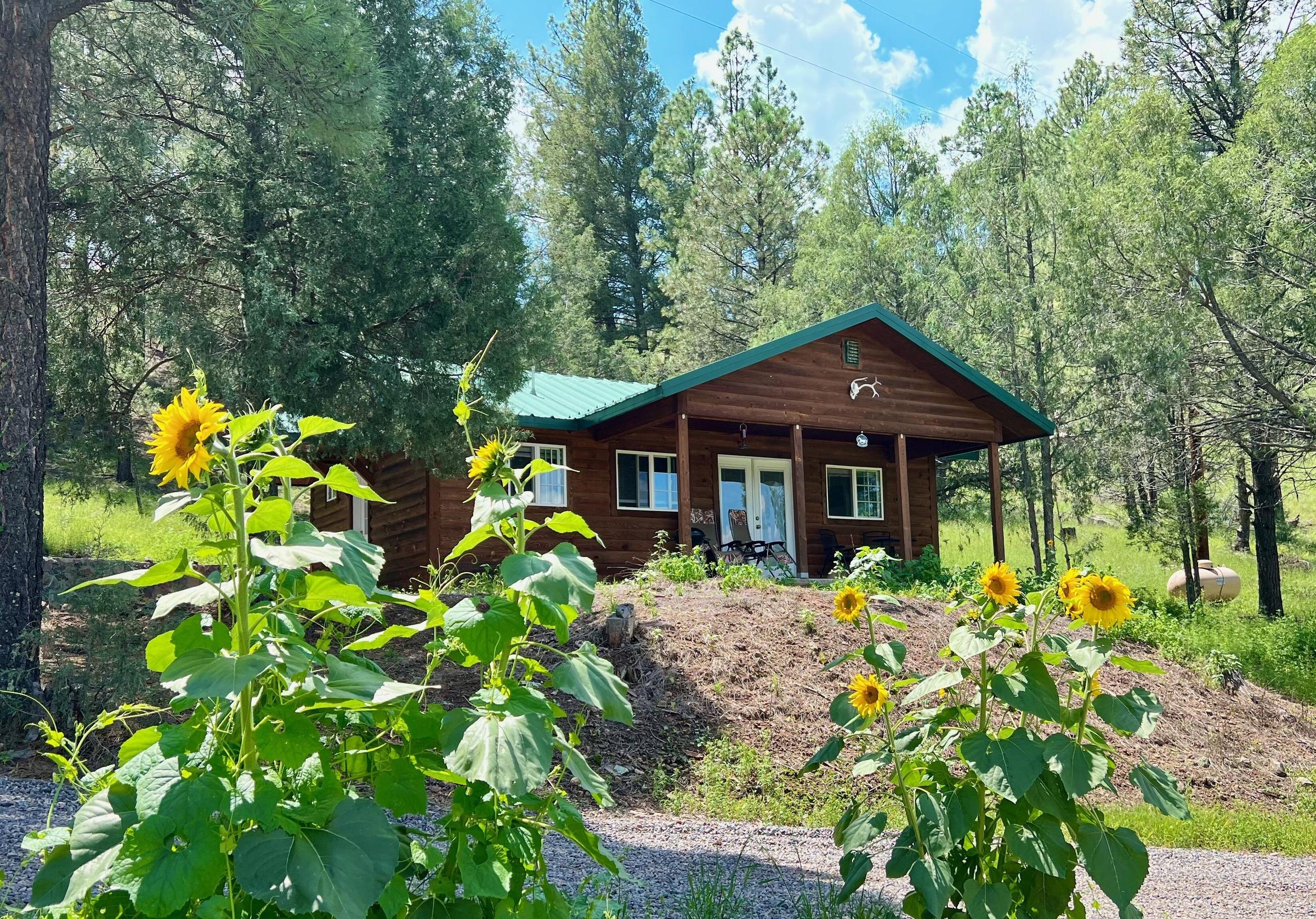 Pet Friendly Tranquil Escape on a Beautiful Horse Ranch