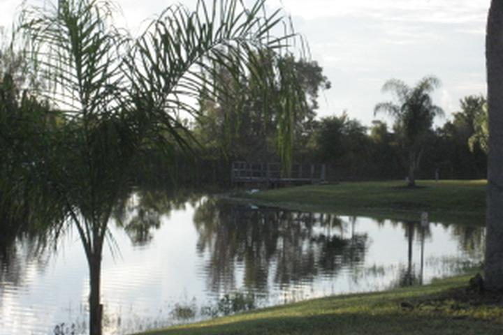 Pet Friendly Campgrounds In New Smyrna Beach Fl Bringfido Pet Friendly Campgrounds In New Smyrna Beach Fl Bringfido