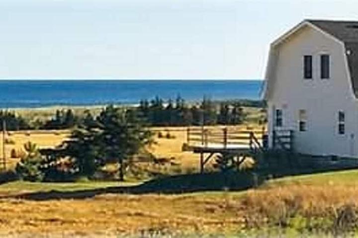 Pet Friendly Ocean View Country Cottage