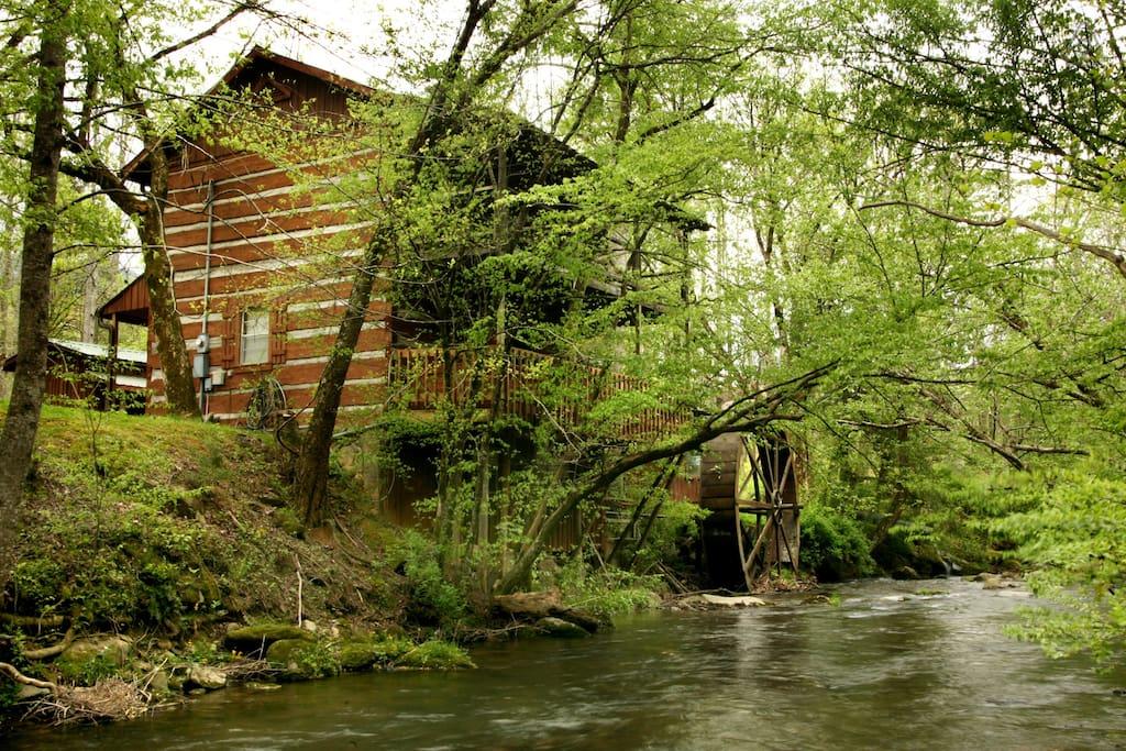 Pet Friendly Vacation Rentals In Pittman Center Tn Bringfido