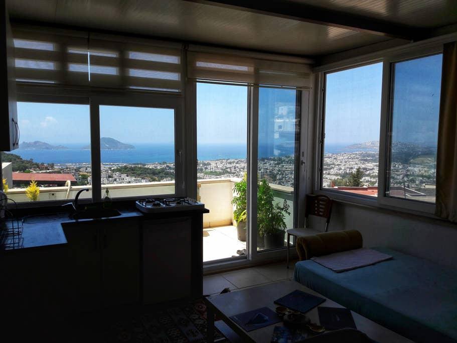 Pet Friendly Hotels In Bodrum Tr Bringfido