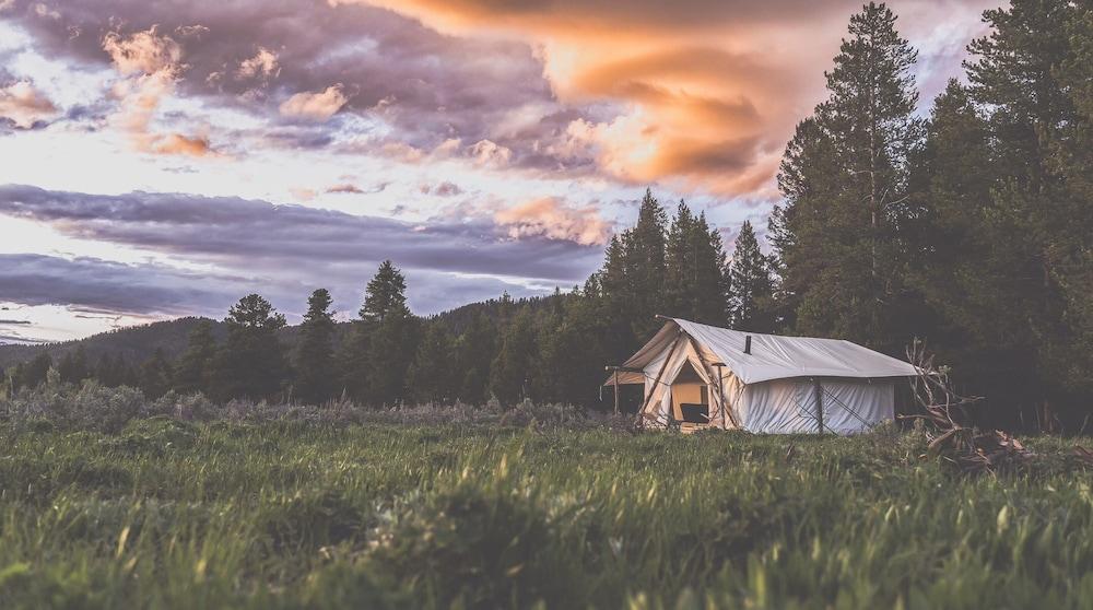 Pet Friendly Tammah - Yellowstone - Glamping