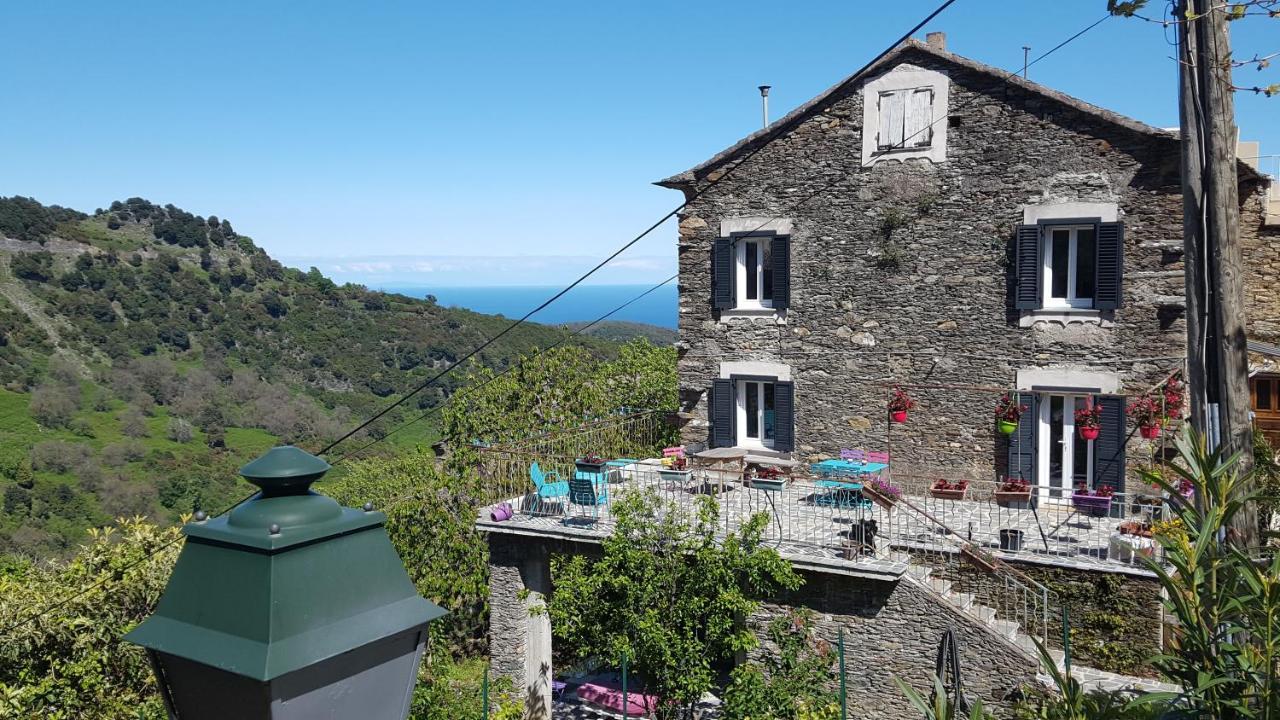 Pet Friendly English Club in Corsica B&B