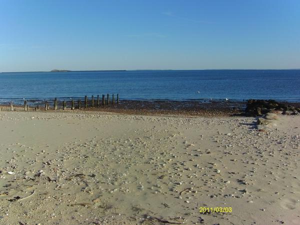 72 Shore Rd Pet Policy