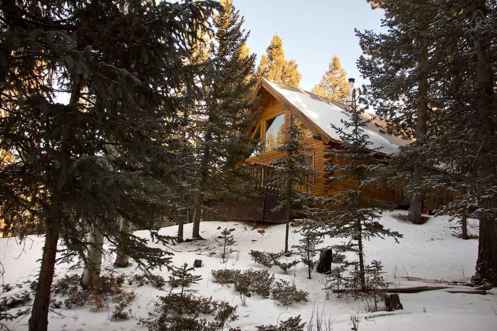 Pet Friendly Vacation Rentals In Cripple Creek Co Bringfido