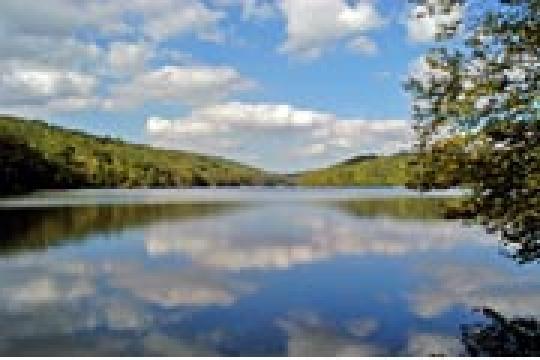Pet Friendly Clarence Fahnestock State Park Campground