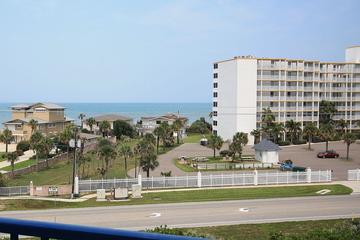 Pet Friendly Hotels In New Smyrna Beach Fl Bringfido