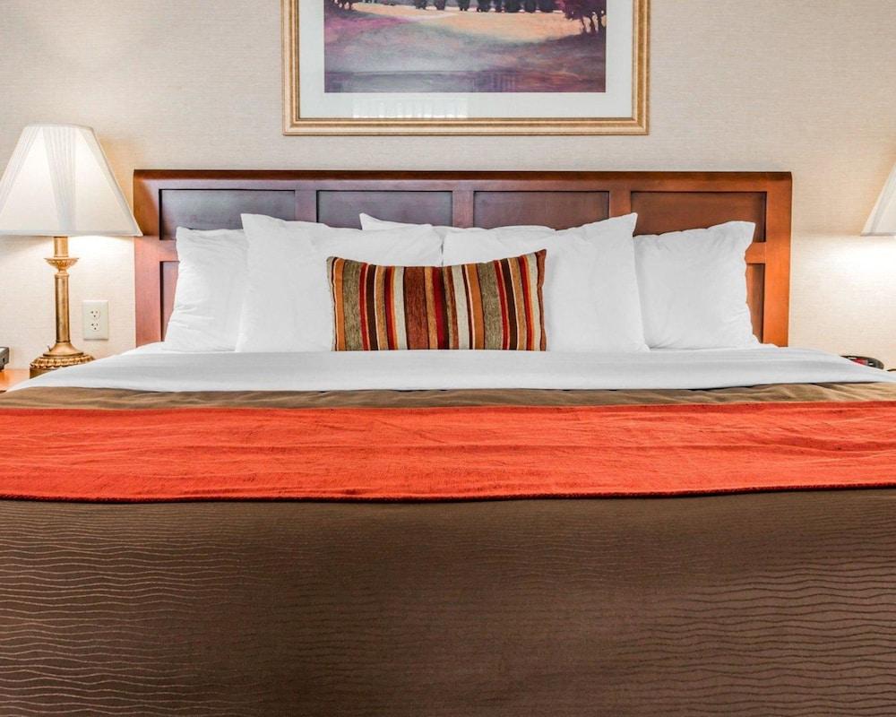 Comfort Inn Utica Pet Policy