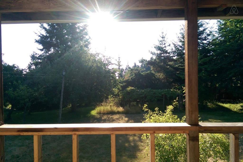 Pet Friendly Vacation Rentals In Parksville Bc Bringfido