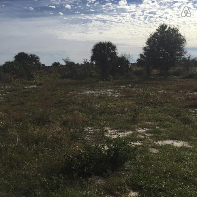 Okeechobee Airbnb Rentals Pet Policy