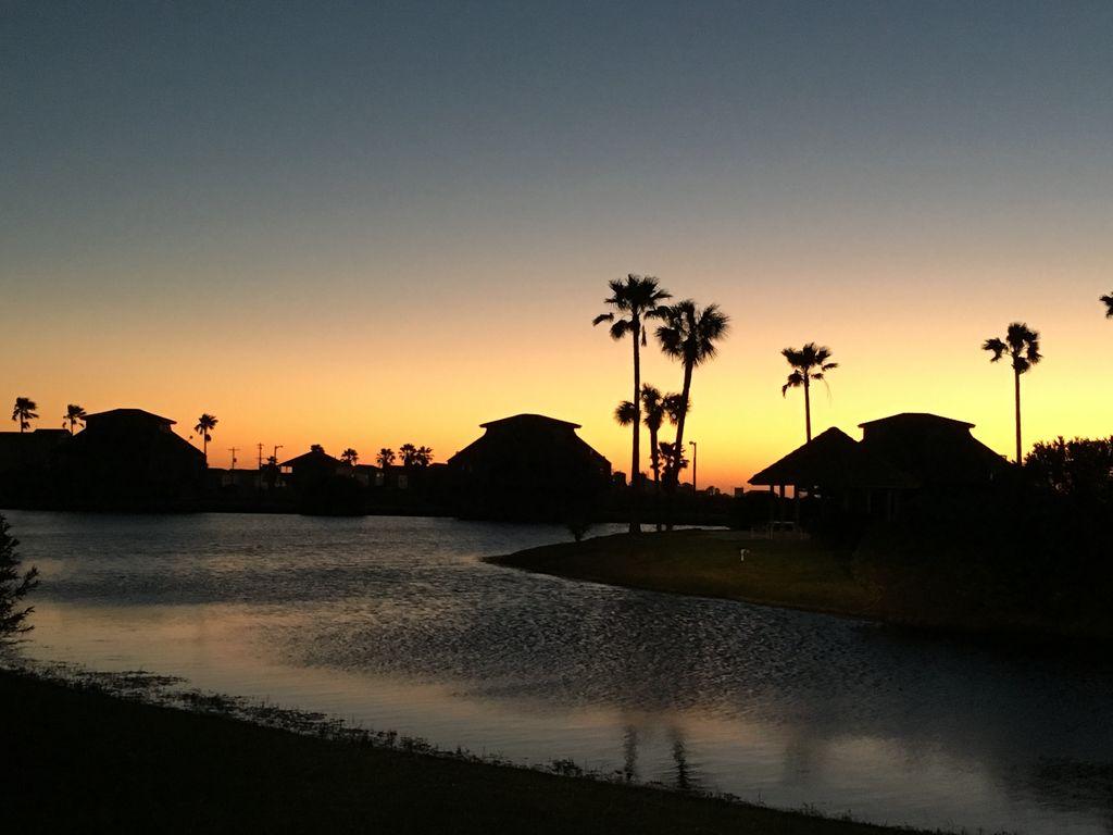 Matagorda Dunes Ocean Condo 23 Pet Policy