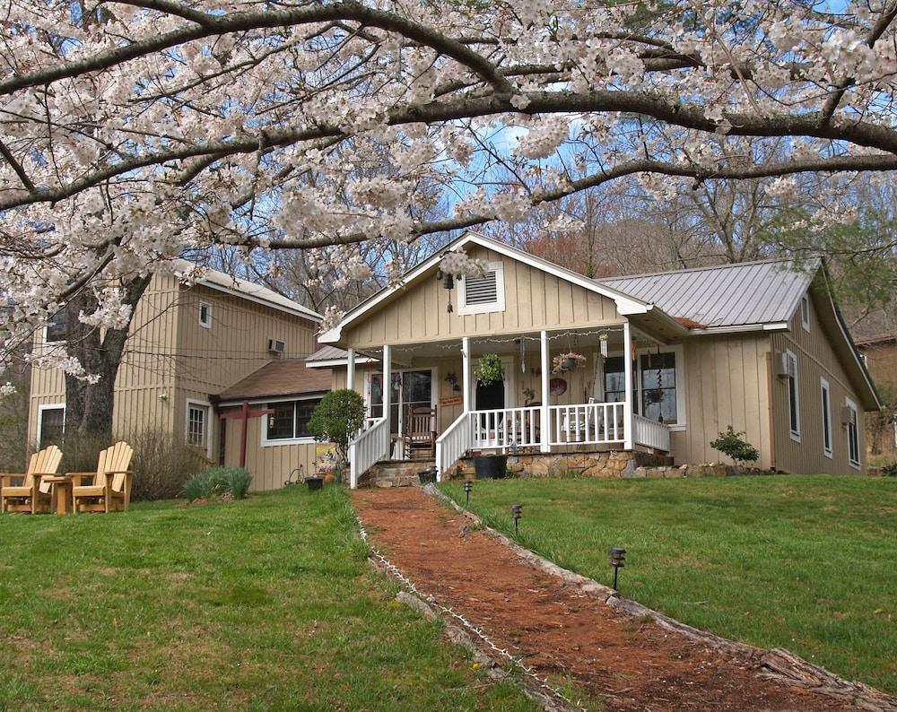 Pet Friendly Henson Cove Place B&B with Cabin