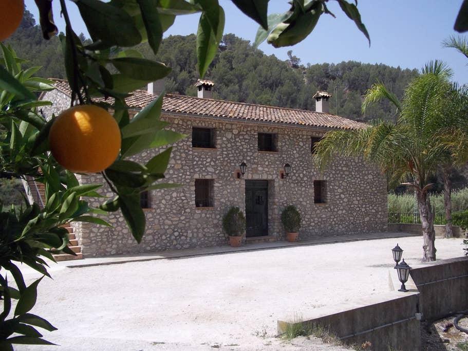 Pet Friendly Castell de Castells Airbnb Rentals