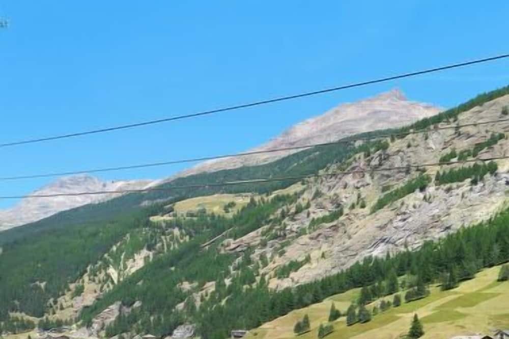 Picture of an Apartment that allows dogs in Saas Grund.