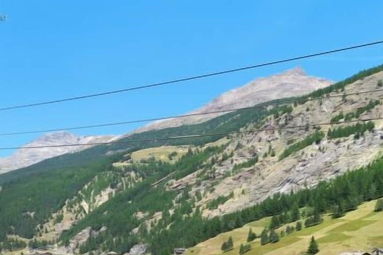 Picture of an Apartment that allows dogs in Saas Grund.