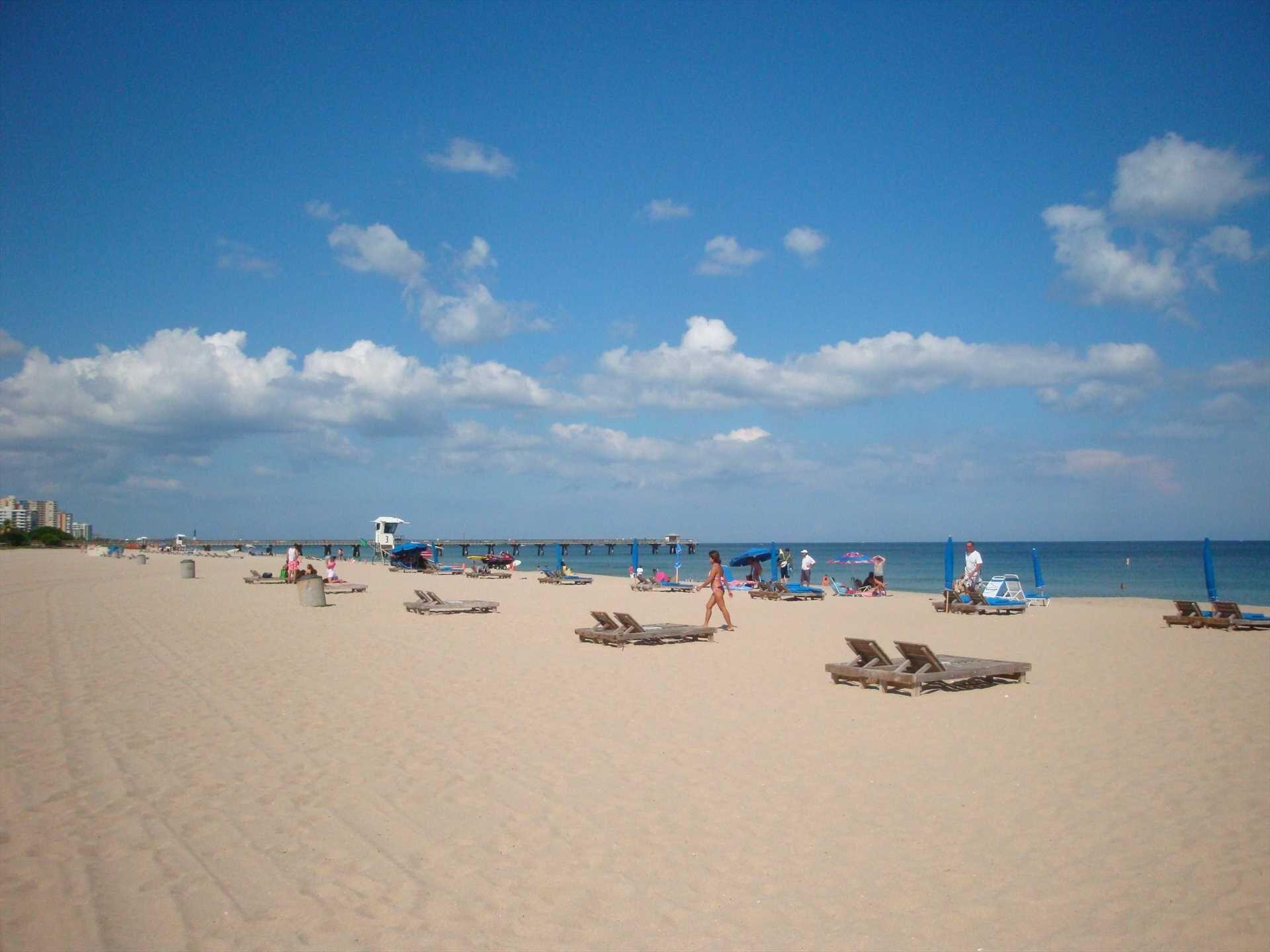 Pet Friendly Surf & Sand at Terra Mar