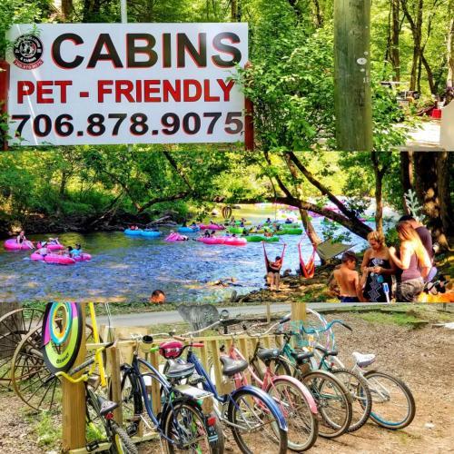 Pet Friendly Bear Creek Lodge & Cabins- Pet Friendly