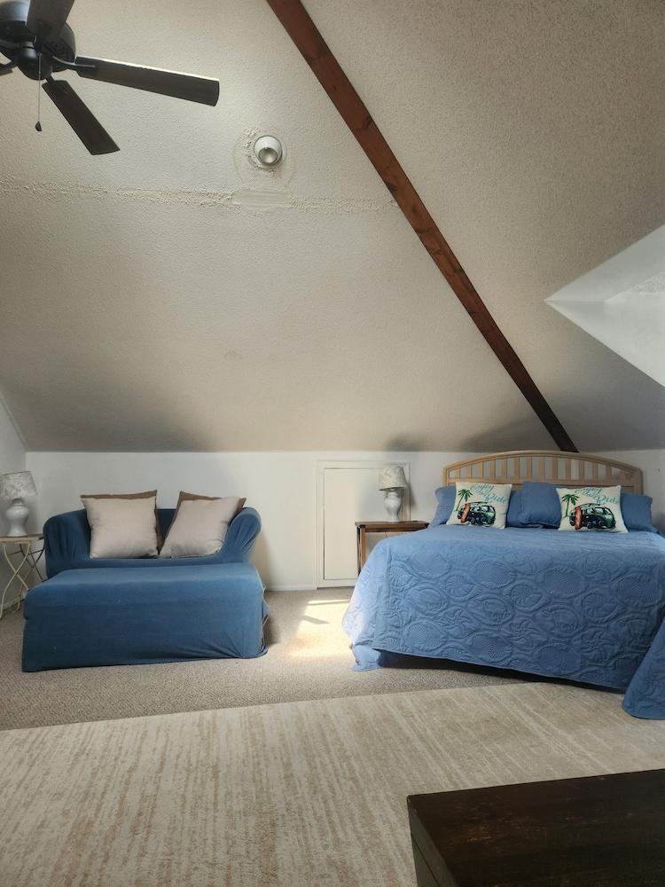 5 Br 2 Bath Oceanside Rental Lbi New Jersey Pet Policy