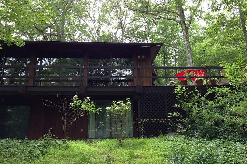 Pet Friendly Cold Spring Airbnb Rentals