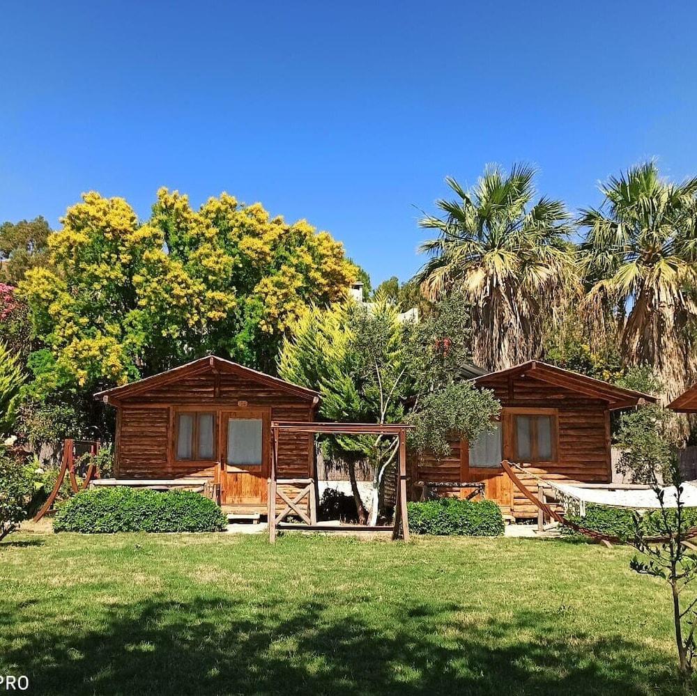 Pet Friendly Pitos Bungalows