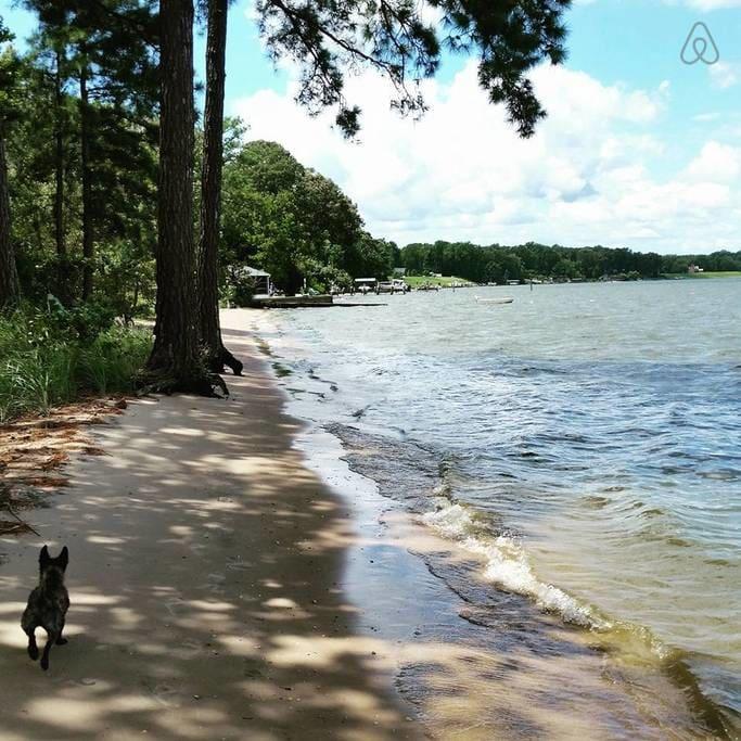 Montross Airbnb Rentals Pet Policy