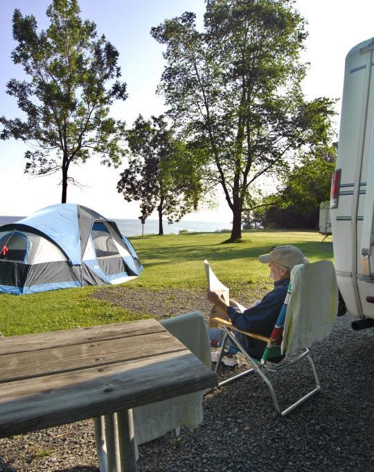 are dogs allowed in nys campgrounds