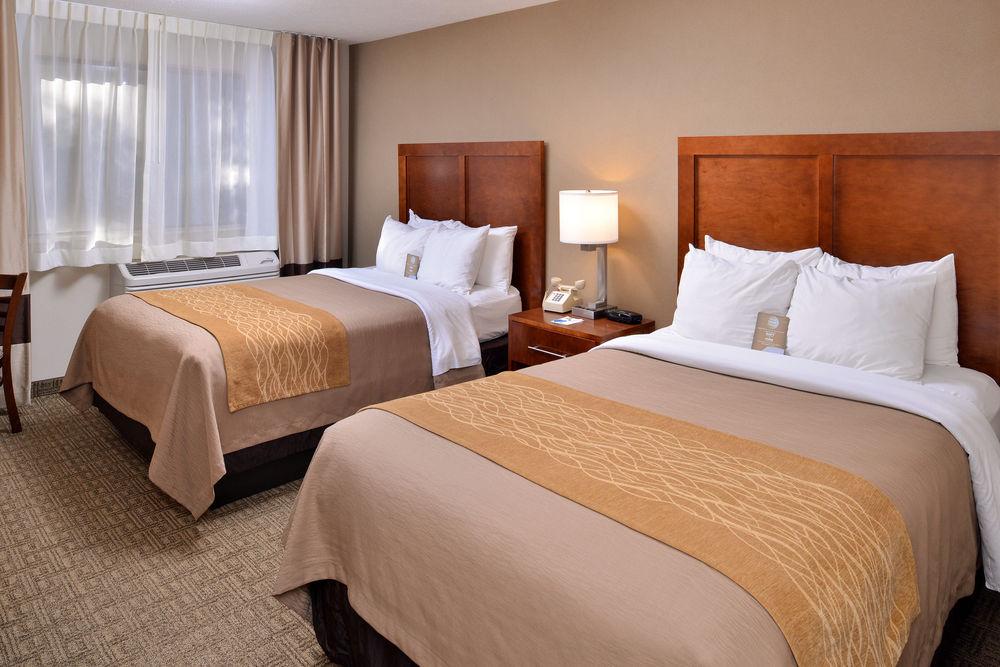 Comfort Inn Suites At Maplewood Pet Policy