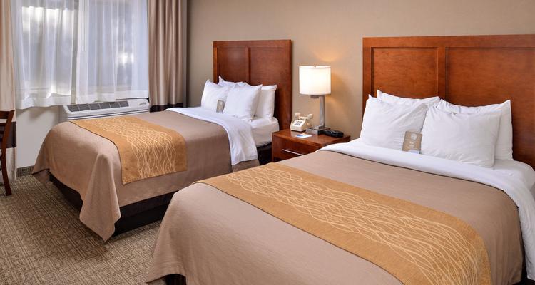 Comfort Inn Suites At Maplewood Pet Policy