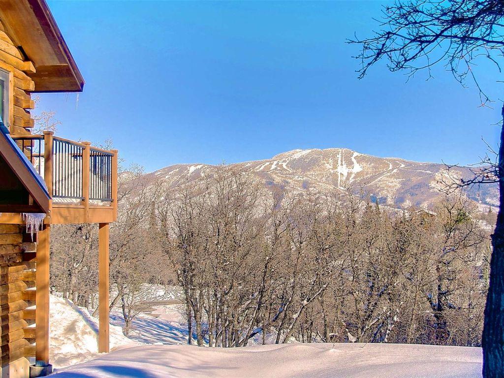Pet Friendly Vacation Rentals In Steamboat Springs Co Bringfido