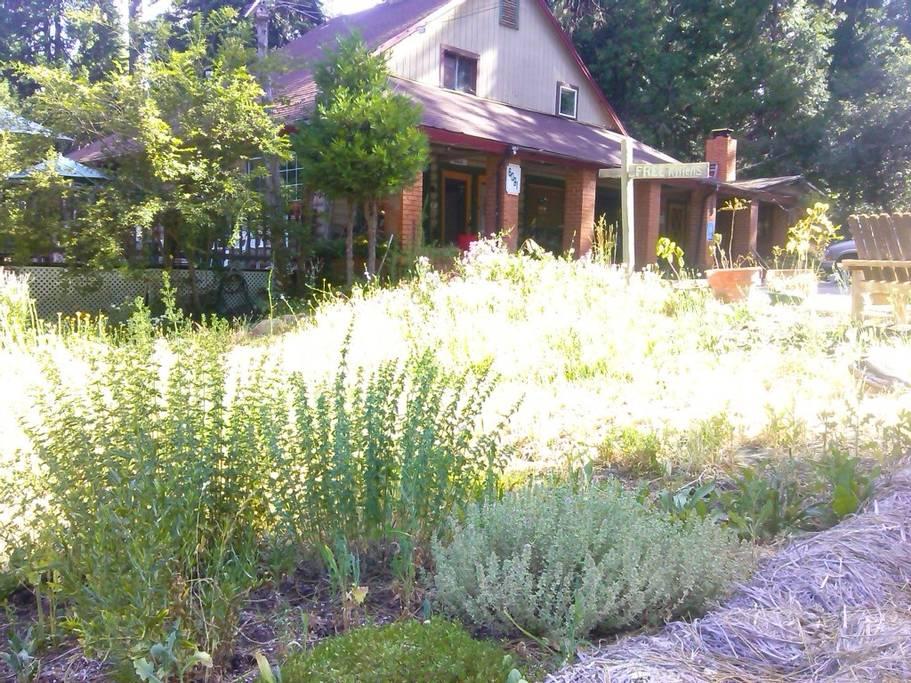 Pollock Pines Airbnb Rentals Pet Policy