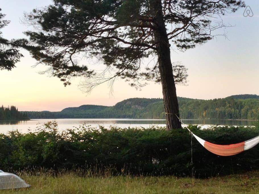 Pet Friendly Vacation Rentals In Algonquin Park On Bringfido