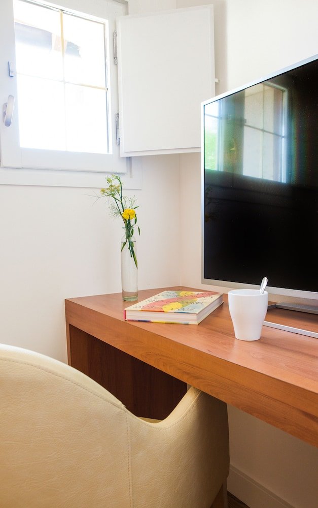 Television