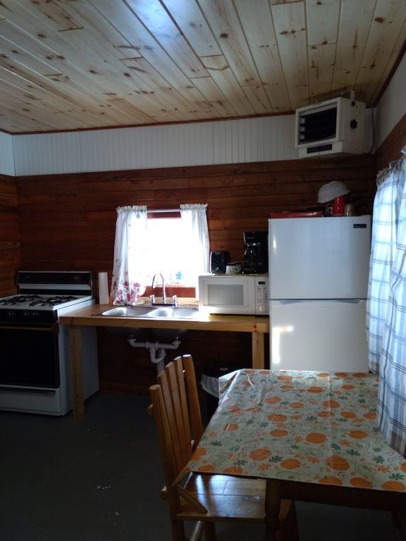 Pet Friendly Up North Two Bedroom Cabin #2