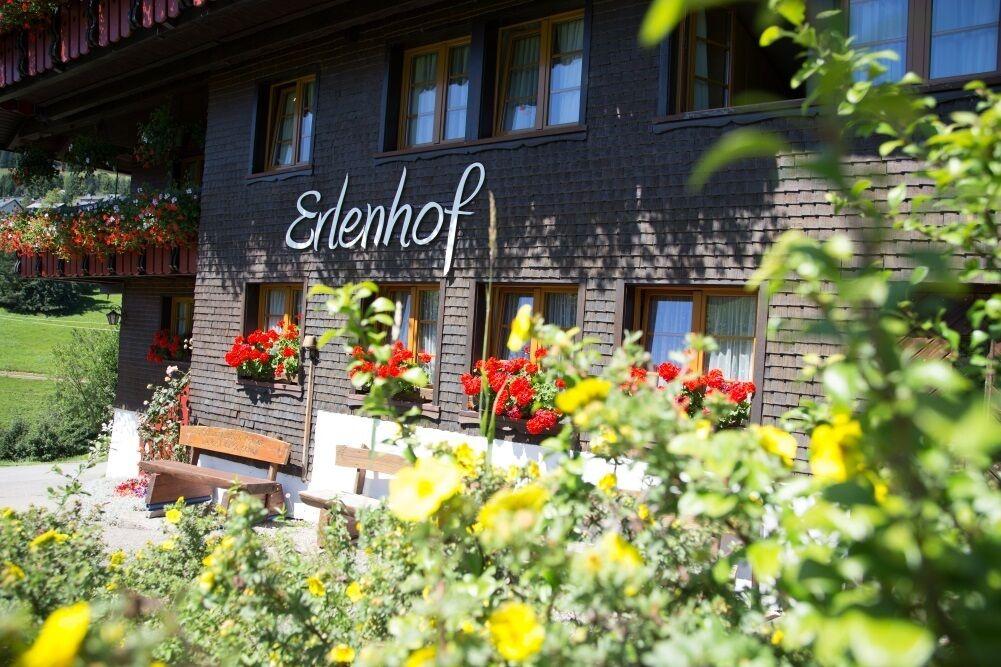 Pet Friendly Erlenhof in Todtnauberg