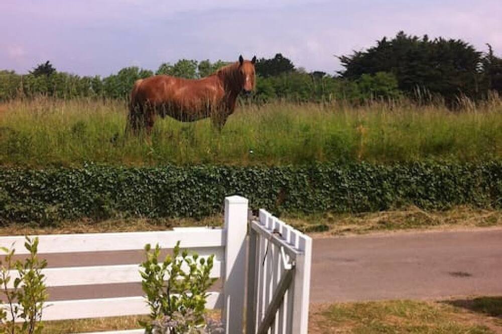 Photo of a House in Esquibien that allows pets.