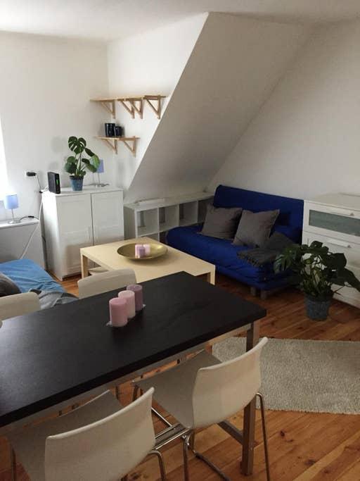 Pet Friendly Schesslitz Airbnb Rentals
