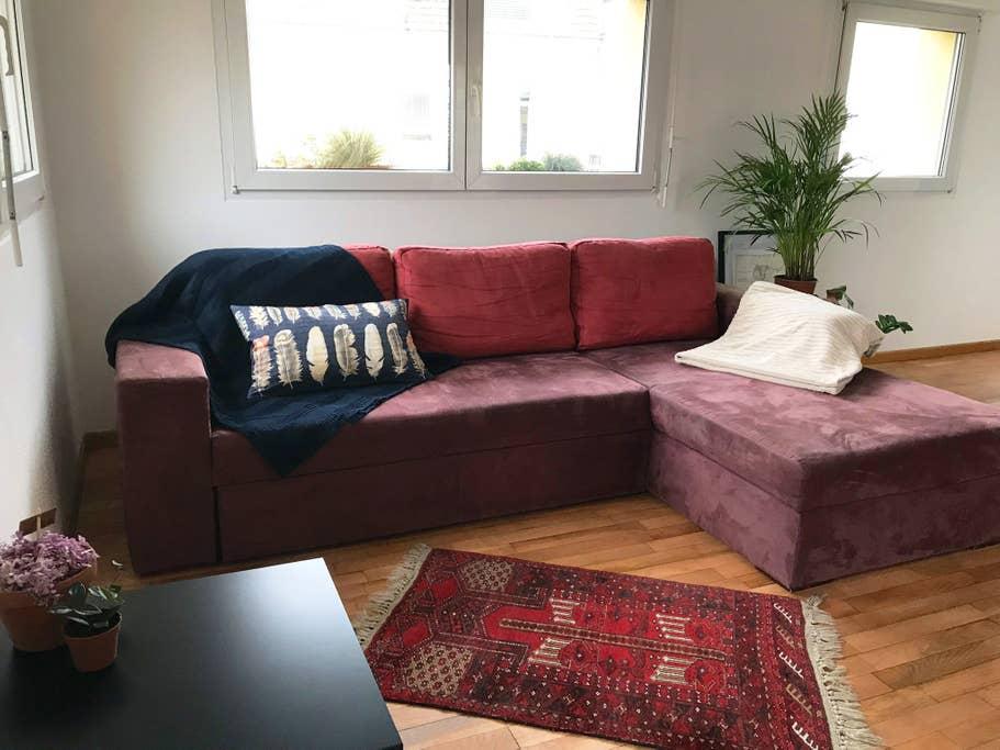 Pet Friendly Horbourg Wihr Airbnb Rentals