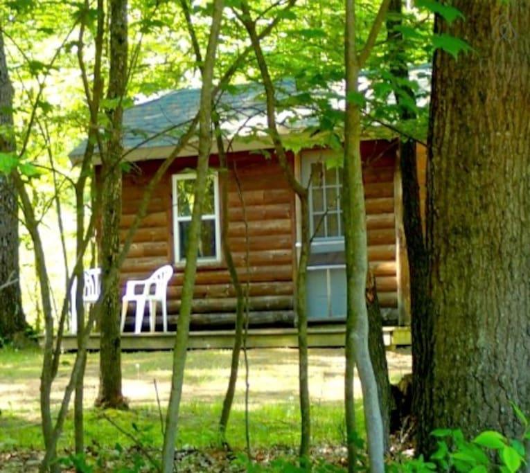 Walhalla Airbnb Rentals Pet Policy