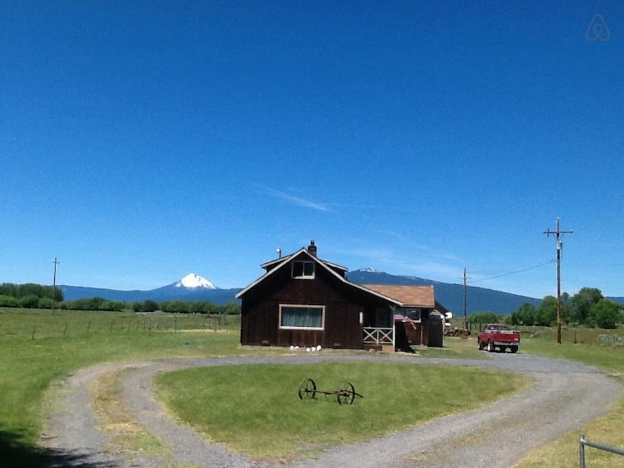 Chiloquin Airbnb Rentals Pet Policy