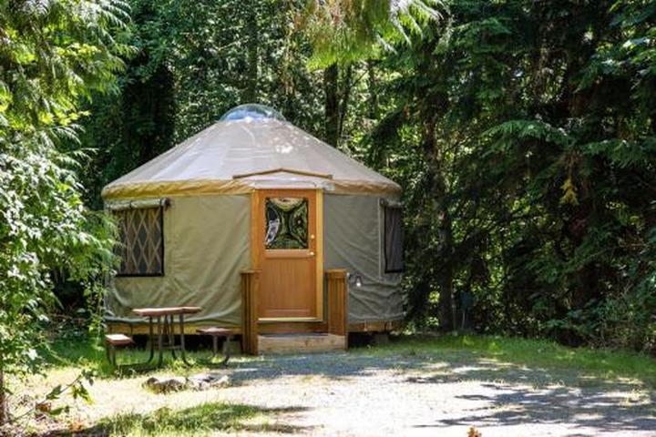 Pet Friendly Mount Vernon Camping Resort 16 Ft Yurt 6