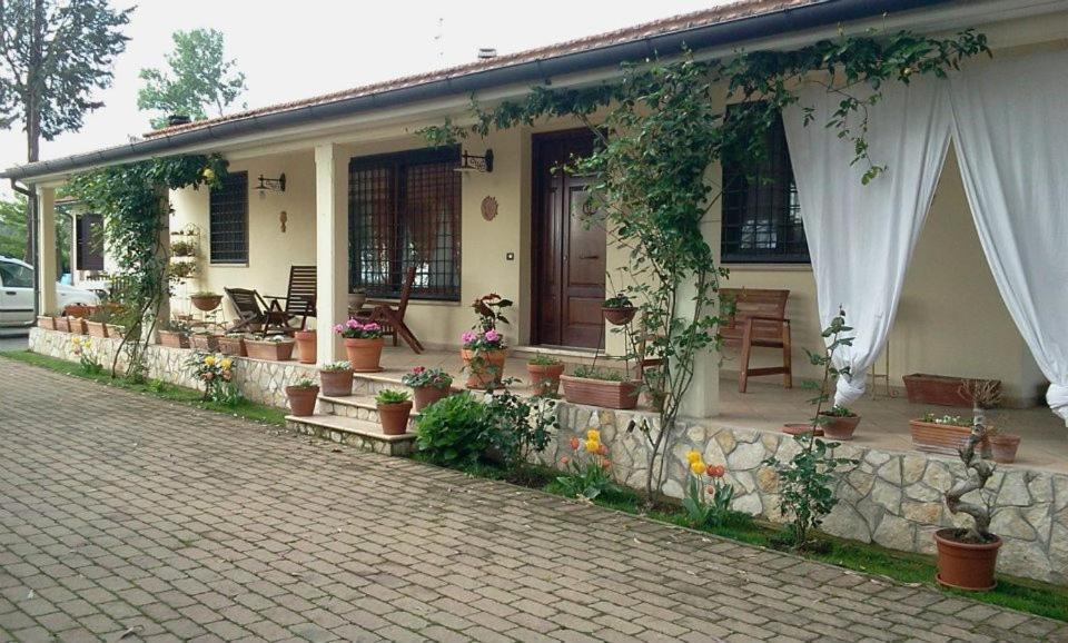 Pet Friendly B&B RoLu