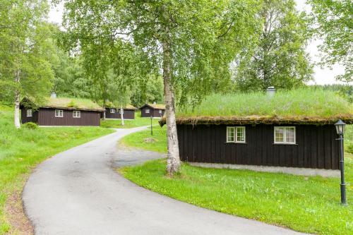 Pet Friendly Groven Camping & Hyttegrend