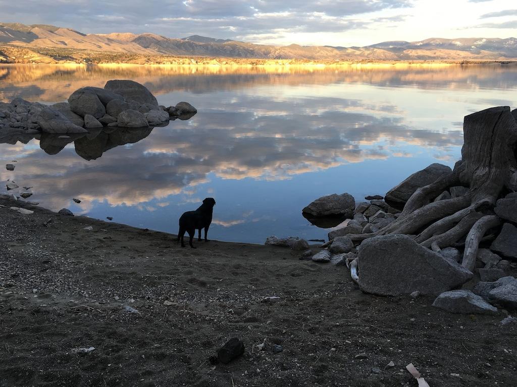 Pet Friendly Canyon Ferry Lakefont Home