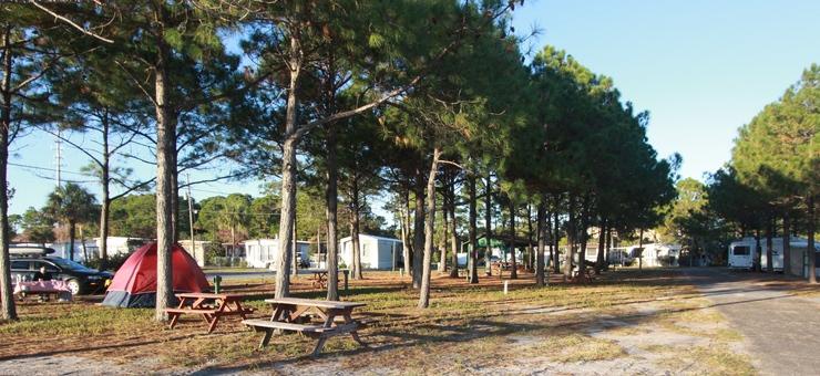 Pet Friendly Campgrounds In Panama City Beach Fl Bringfido