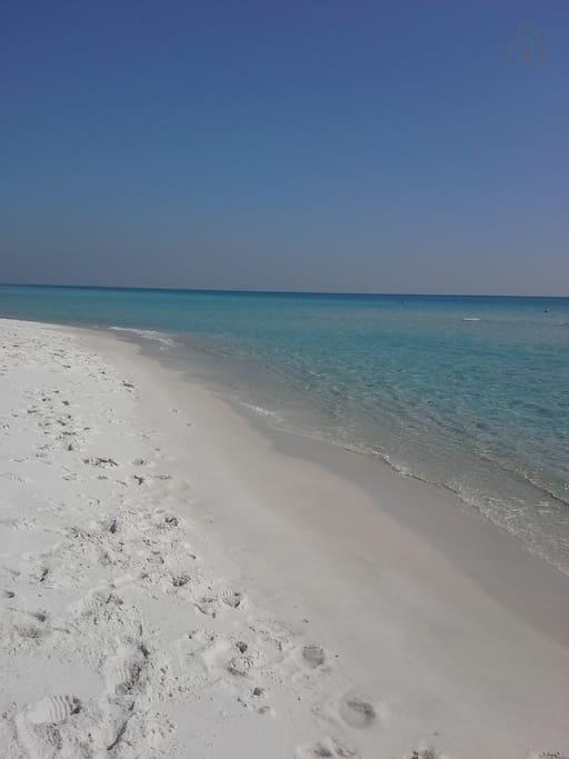 Pet Friendly Pensacola Beach Airbnb Rentals