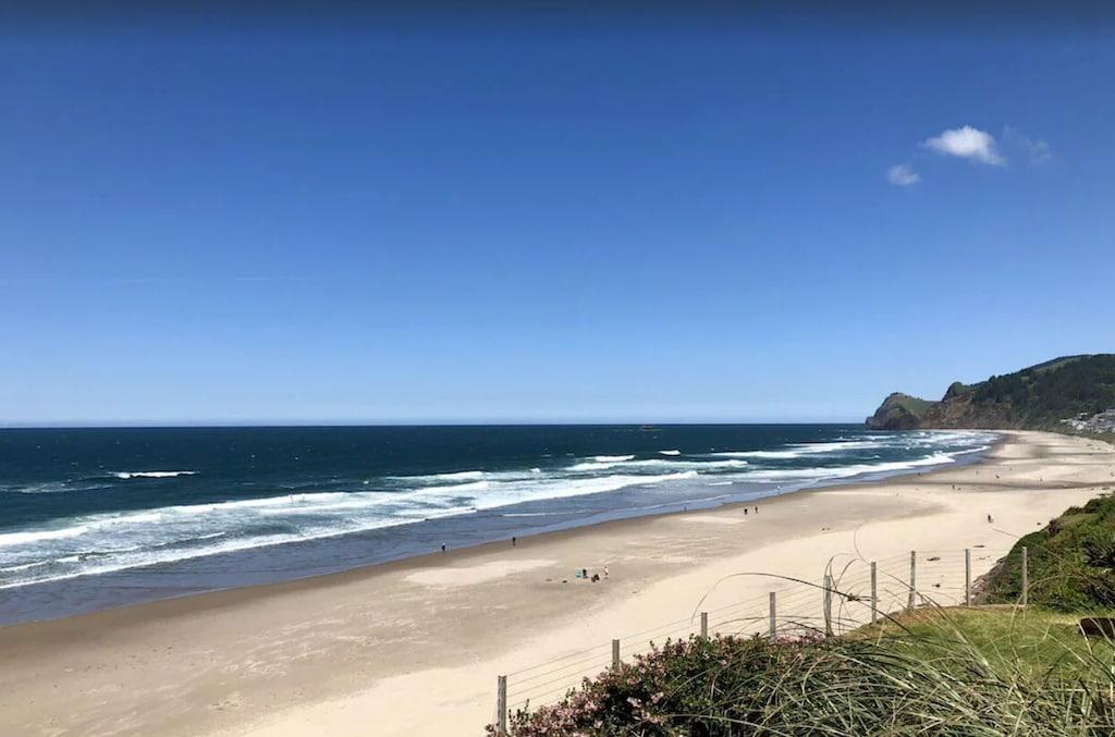 The Hamptons Pet Policy