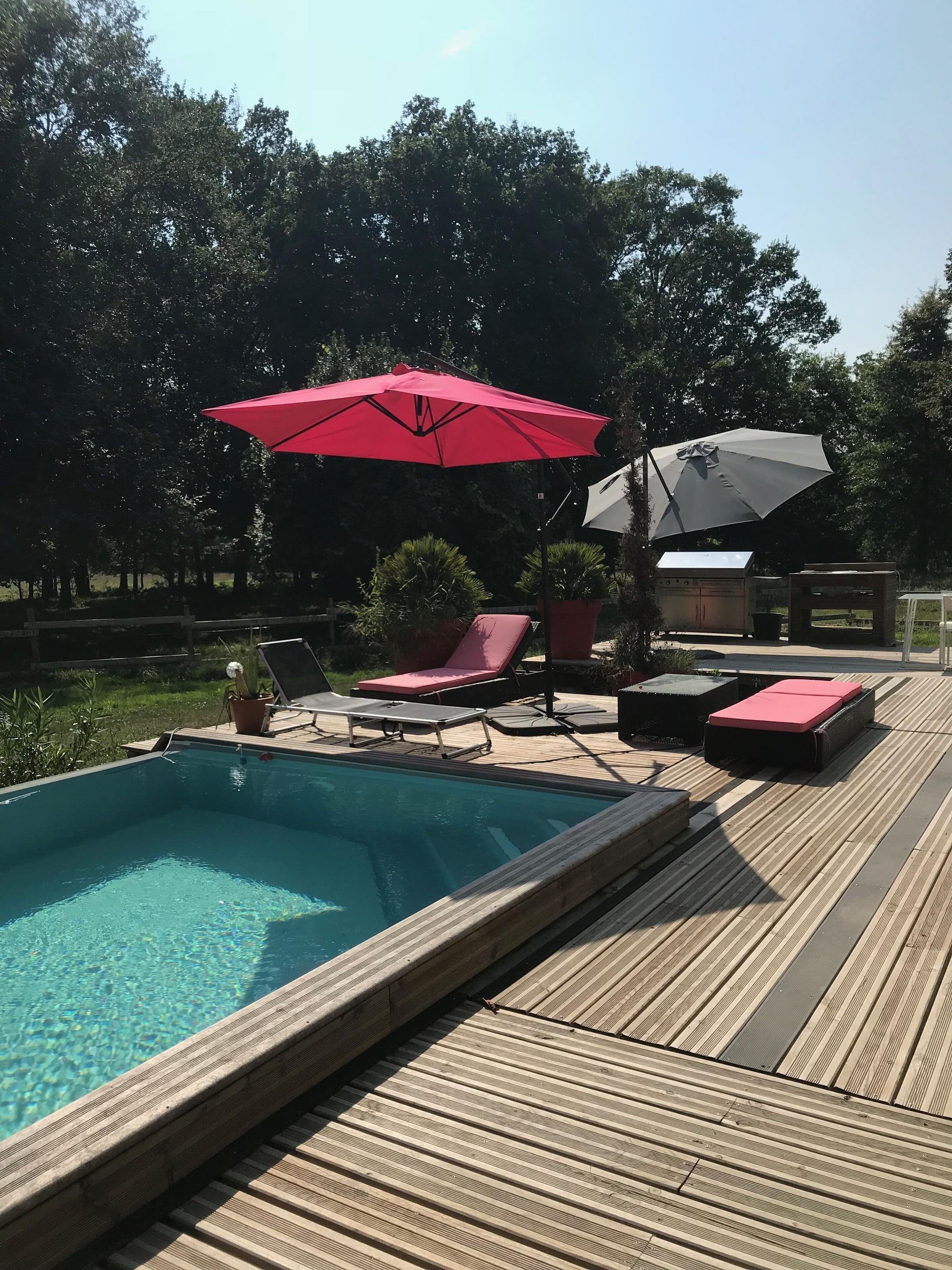 Pet Friendly Mansion in the Heart of the Landes