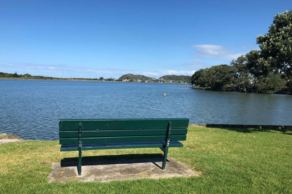 Pet Friendly Hotels In Waihi Nz Bringfido